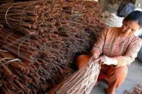 7 Hasil Pertanian Indonesia Dengan Kualitas Dunia