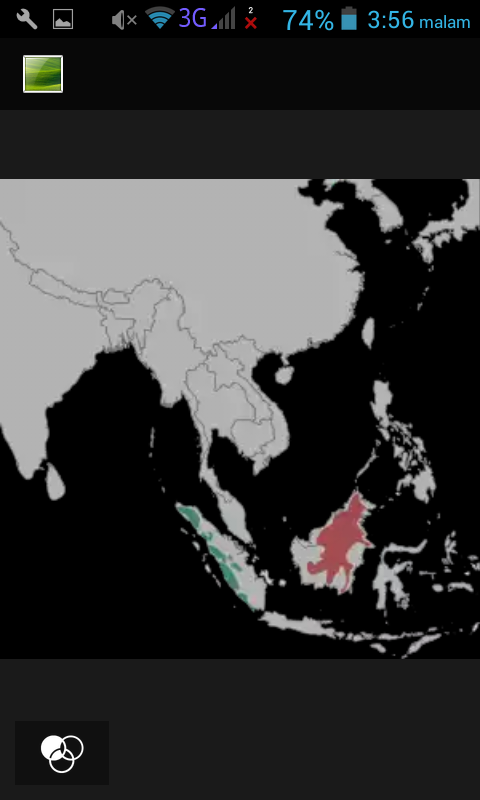 MACAN DAHAN KHAS KALIMANTAN YANG UNIK
