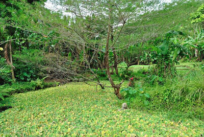 Tempat Wisata Eksotis Di Malang Ini Hanya Bayar Parkir Untuk Masuk.