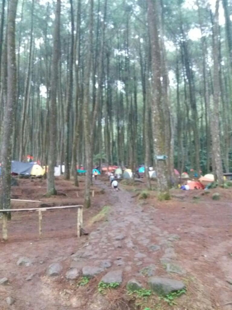 Camping Ceria Soaka Elang Loji Bogor 29 - 30 Januari 2017