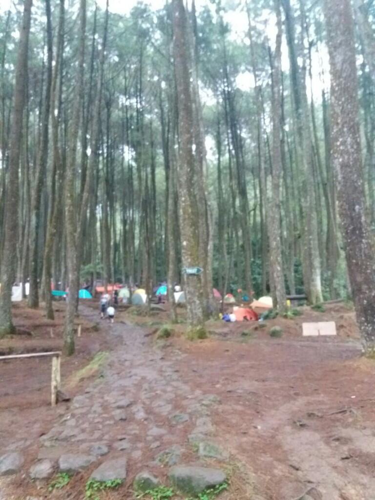 Camping Ceria Soaka Elang Loji Bogor 29 - 30 Januari 2017