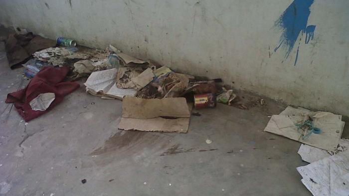 Derita Rumah Pinggir Jalan