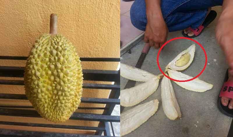 ‘Tragedi buah duren’, cerita memilukan seorang pria saat beli durian