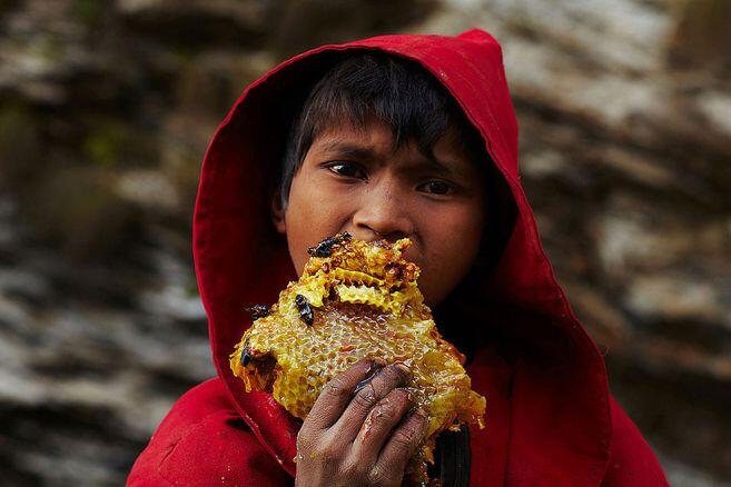 Bikin merinding, ini potret para pemburu madu tradisional di Nepal