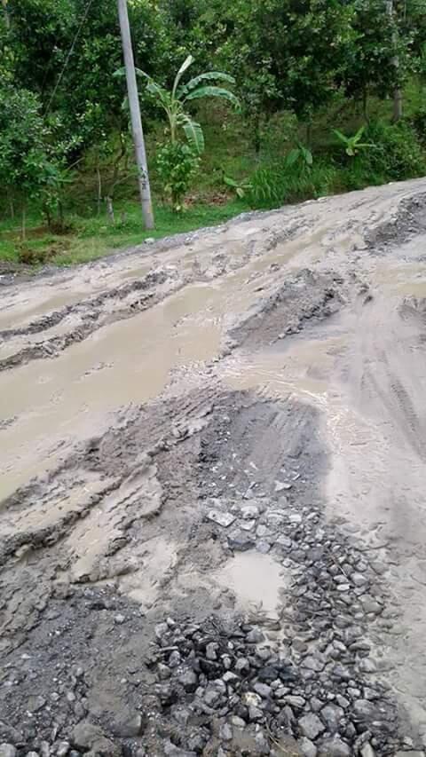 Mengalihfungsikan Jalan Rusak Menjadi Sesuatu yang Bermanfaat