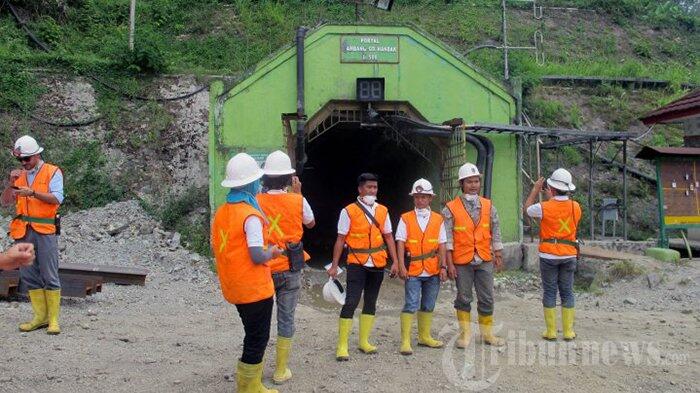 Ini Solusi Terbaik Pemerintah Percepat Peningkatan Nilai Tambah Mineral