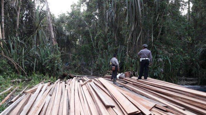 Tim Temukam Kayu Olahan di Hutan Marga Satwa Kerumutan