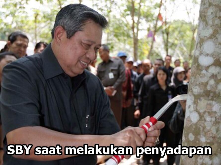 Pengacara Ahok Akan Minta SBY Bersaksi di Persidangan