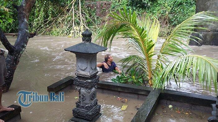 Wayan Gede Berenang Cari Ayamnya yang Hanyut