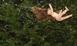 Bocah Dua Tahun Tertimpa Dahan Pohon Kelapa Meninggal, Sang Ayah Kecewa Operasi Batal