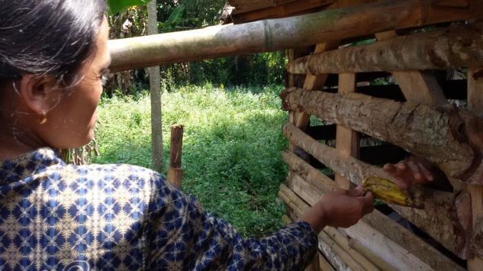 Sepuluh dari 44 Penderita Gangguan Jiwa di Kecamatan Purwadadi Dikurung