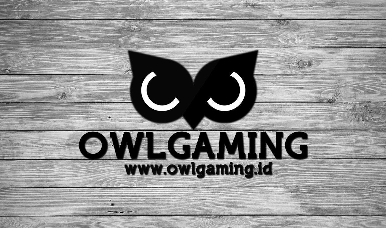 RF OWLGaming RPG Max 55