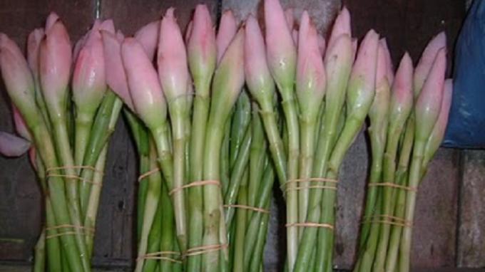 Resep Sedap Sayur Godog Udang Kecombrang, Mantap untuk Dinikmati Siang Hari