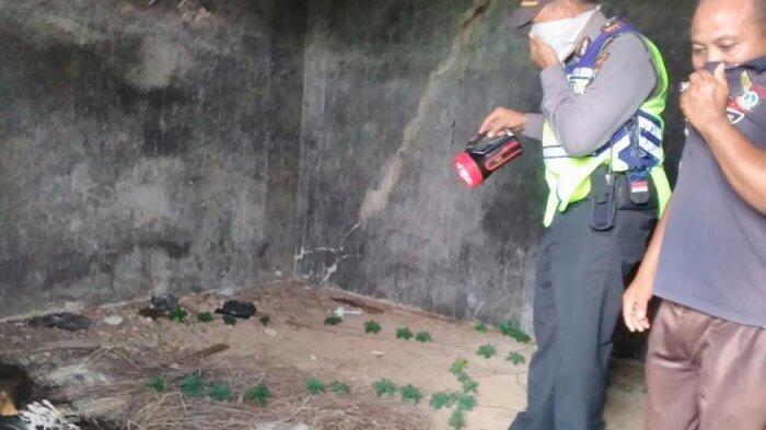 Mayat Perempuan Tanpa Celana Terikat di Bekas Gudang Petasan