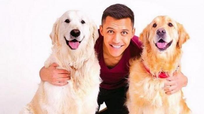 Ini Kisah Alexis Sanchez yang Sering Curhat ke Anjing