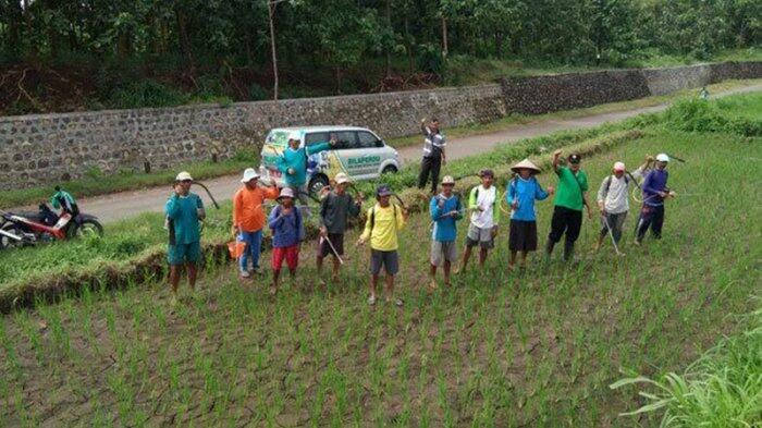 Mengenal Klinik Keliling Sahabat Petani dan Peternak di Banyuwangi