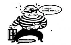 Andrianto Sembunyikan Tiga Ekor Burung Curian di Gerobak Tekwan