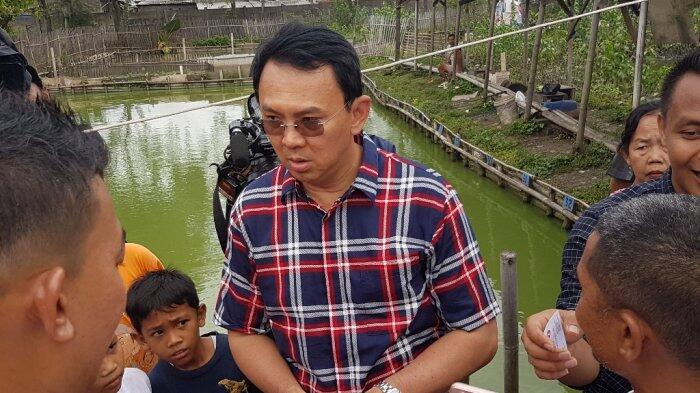Ahok Yakin Pemilih yang Gandakan KTP Bakal Dipidana