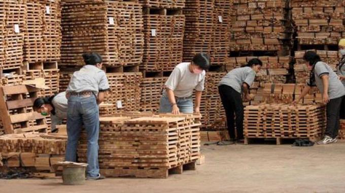 Penjelasan Kementerian Lingkungan Hidup dan Kehutanan Soal Sertifikasi SVLK-FSC