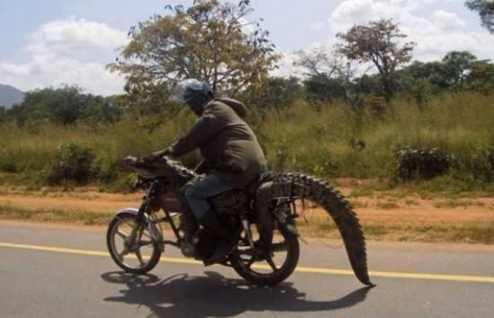 19 keanehan di Afrika yag bikin ngakak