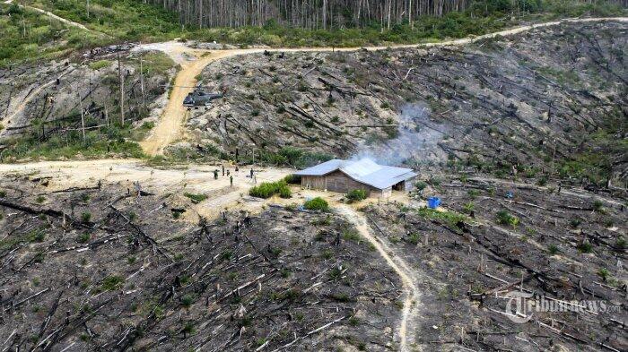 Kapolda Ancam Perusahaan Buka Lahan di Taman Nasional Tesso Nilo