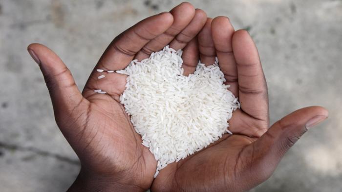 Dinilai Tak Efektif Stabilkan Harga Pangan, Peran Bulog Dipertanyakan