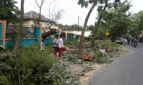 Angin Kencang di Mataram, Satu Tewas