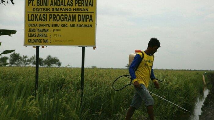 Program Desa Makmur Peduli Api Bentuk Petani Mandiri