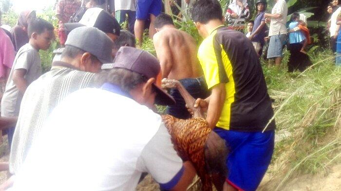 Jenazah Nenek Rahma Mengapung di Sungai Batanghari