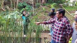 Djarot Siap Ikut Debat Bahas Narkoba