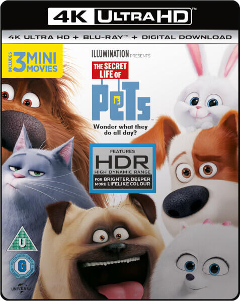 ULTRA HD 4K MOVIES BUAT HOME THEATER AGAN !!!