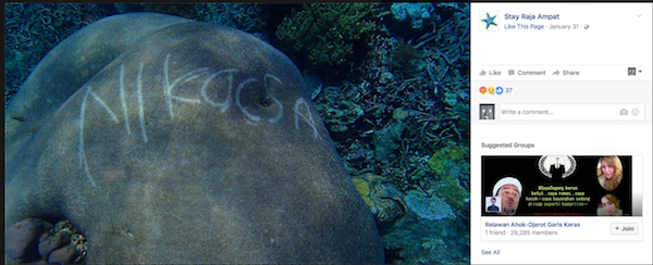 Keterlaluan! Ini Orang Nyoret-nyoret Terumbu Karang di Raja Ampat