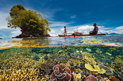 Keterlaluan! Ini Orang Nyoret-nyoret Terumbu Karang di Raja Ampat