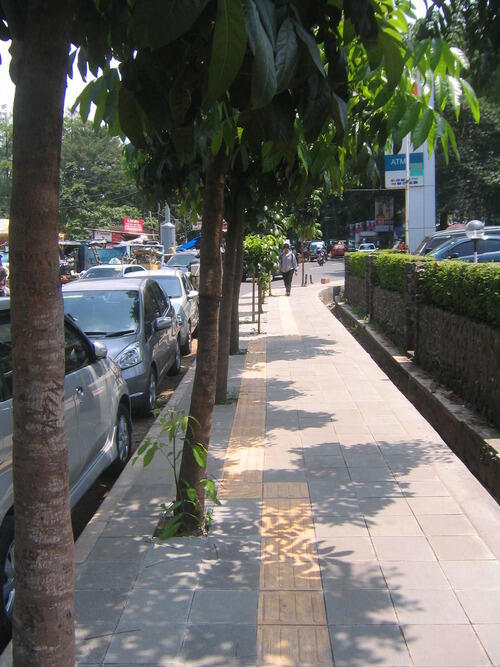 Tactile Paving, Jalur Khusus Penyandang Tuna Netra