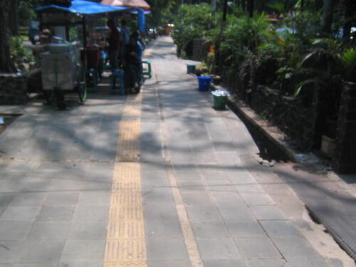 Tactile Paving, Jalur Khusus Penyandang Tuna Netra