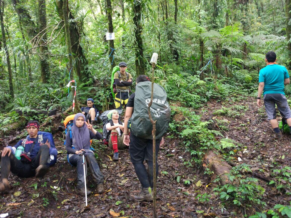 Puncak Salak 2 via Pura, pendakian yang amat sangat biasa-biasa saja