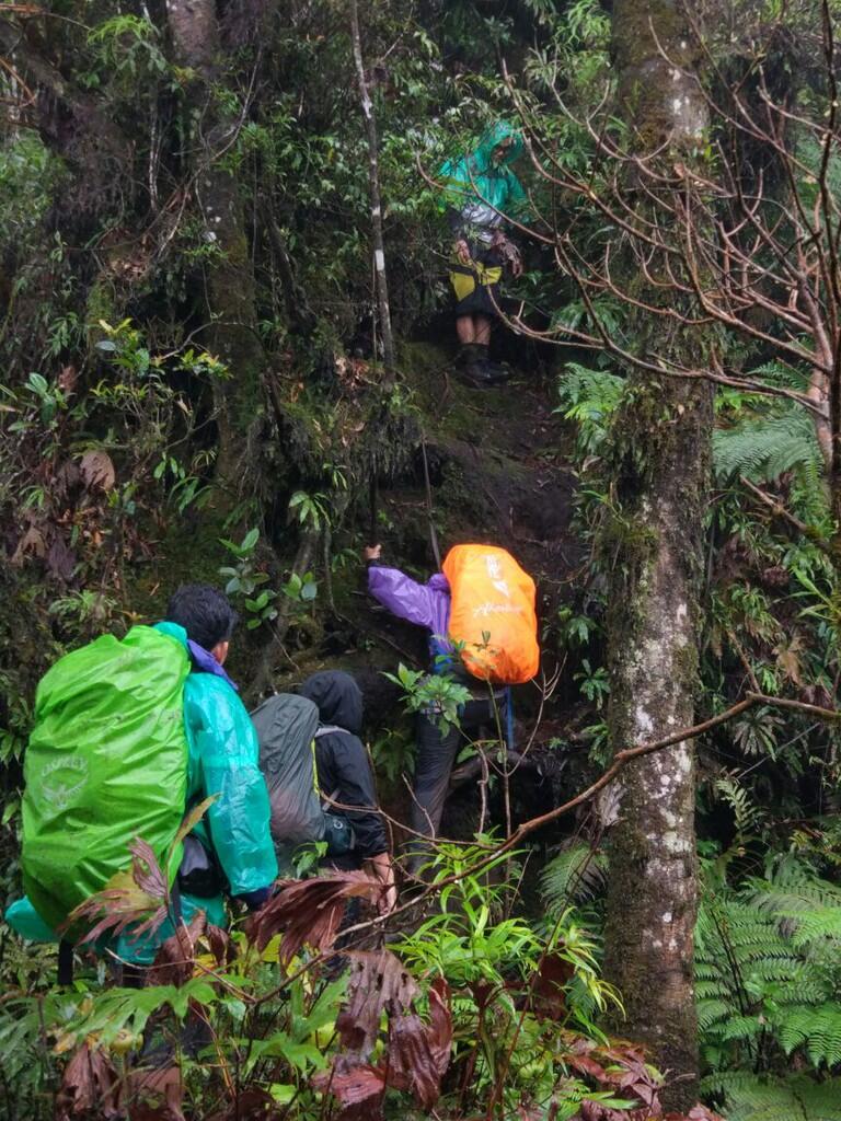 Puncak Salak 2 via Pura, pendakian yang amat sangat biasa-biasa saja