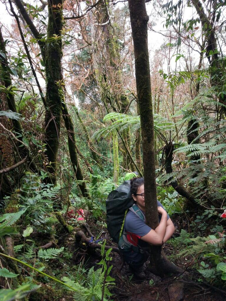 Puncak Salak 2 via Pura, pendakian yang amat sangat biasa-biasa saja