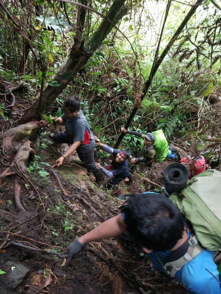 Puncak Salak 2 via Pura, pendakian yang amat sangat biasa-biasa saja