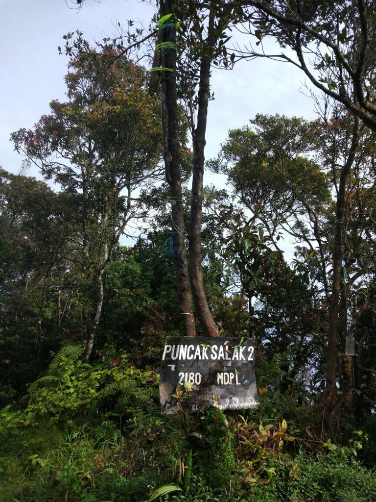 Puncak Salak 2 via Pura, pendakian yang amat sangat biasa-biasa saja