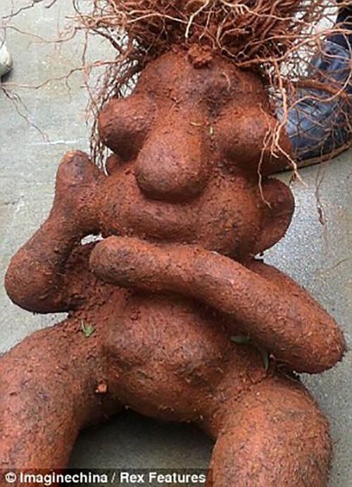 WOw!! Buah-buahan Ini Memiliki Bentuk Yang Aneh. No 4 Mirip Organ Tubuh