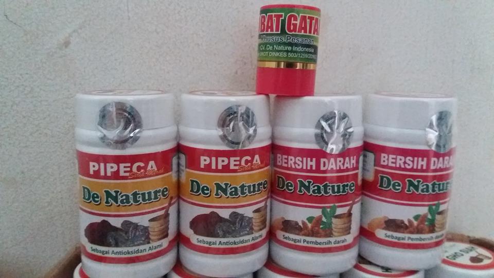 Obat herbal penyakit kulit/gatal eksim basah kering/kurap/kudis/bisul/gudikan/borok