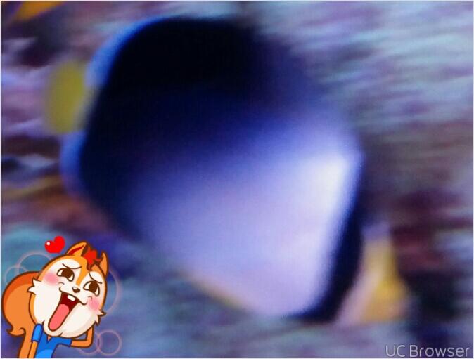 aquarium air laut ( penjual n pembeli) ngumpull disini