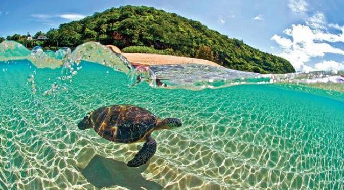 Pantai Terbaik Untuk Merayakan Valentine