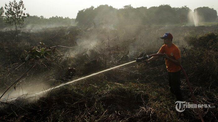 Ada 14 Titik Panas Terdeteksi di Wilayah Sumatera