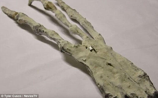 Pemburu UFO Klaim Temukan Tangan Alien Di Peru