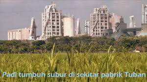 Belajar dari Tuban