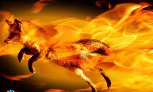 Taukah Agan Hewan Apa Yang Jadi Icon Di Mozilla Firefox? 