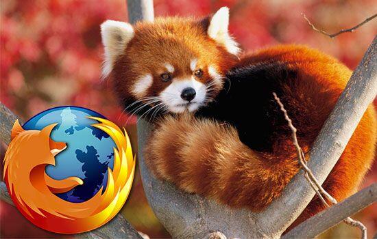 Taukah Agan Hewan Apa Yang Jadi Icon Di Mozilla Firefox? 