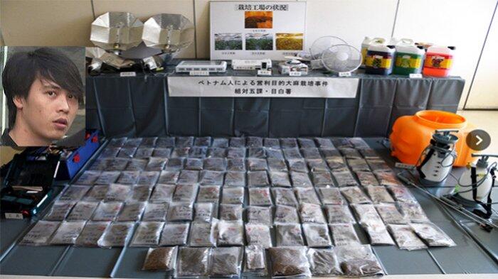 Tanam Ganja Bernilai 100 Juta Yen Warga Vietnam Ditangkap Polisi Jepang